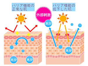 皮膚バリア機能